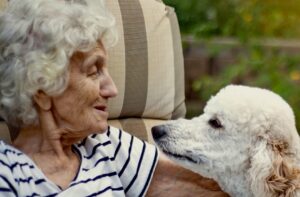 therapy dog with senior citzen