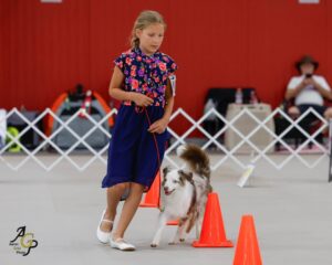 Young woman doing rally obedience with Austrailian shepherd dog